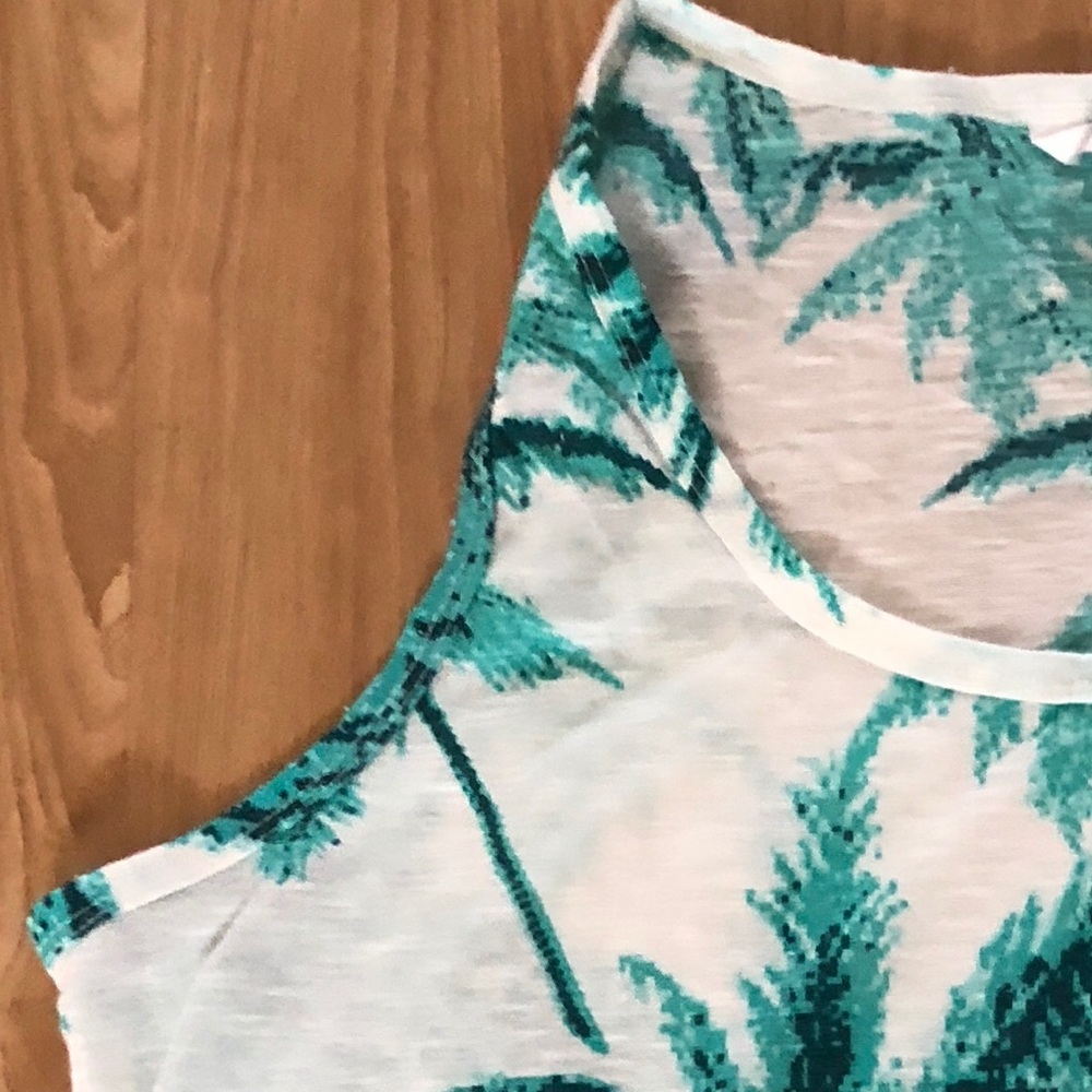Teal palm tree 🌴 tank large